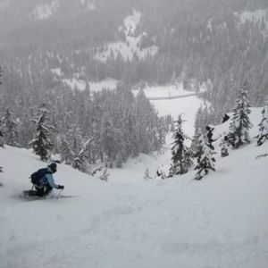 Meet your Posher, Sherri